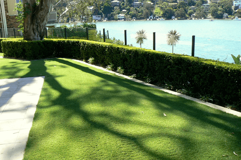 Waterfront Synthetic Grass Backyard